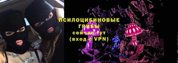 PSILOCYBIN Армянск