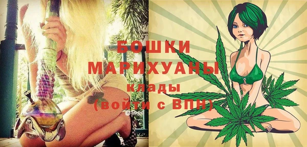 прущие грибы Балабаново