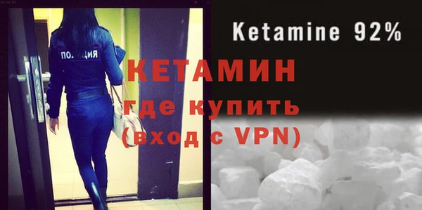 прущие грибы Балабаново