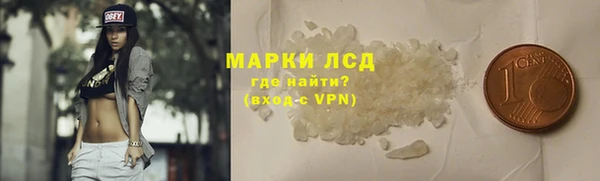 прущие грибы Балабаново