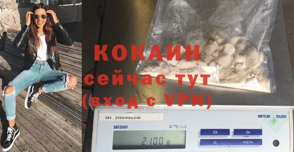 прущие грибы Балабаново