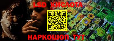 индика Можга