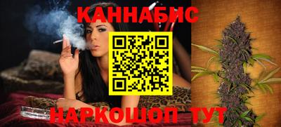 индика Можга