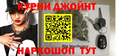 индика Можга