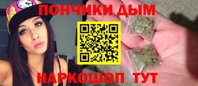 индика Можга