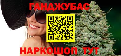 индика Можга