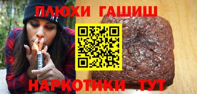 индика Можга