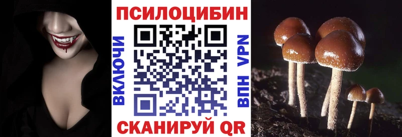 Псилоцибиновые грибы Magic Shrooms  KRAKEN   Борисоглебск  наркошоп 